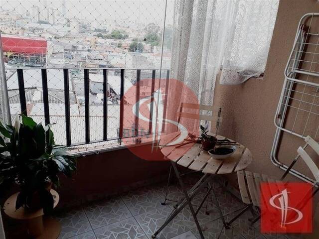Apartamento para Venda em São Paulo - 4