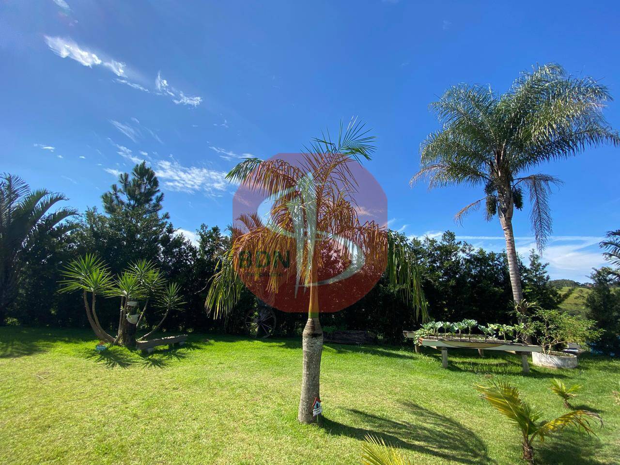 Chácara à venda com 4 quartos, 5531m² - Foto 5