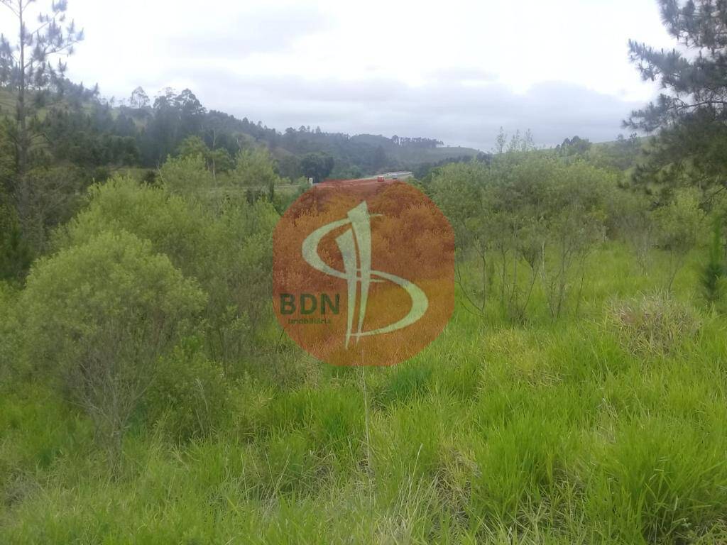 Chácara à venda com 4 quartos, 22000m² - Foto 8