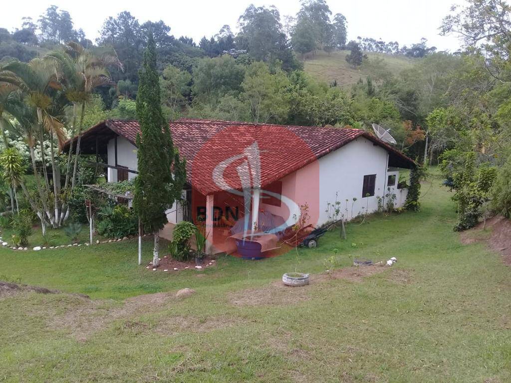 Chácara à venda com 4 quartos, 22000m² - Foto 4