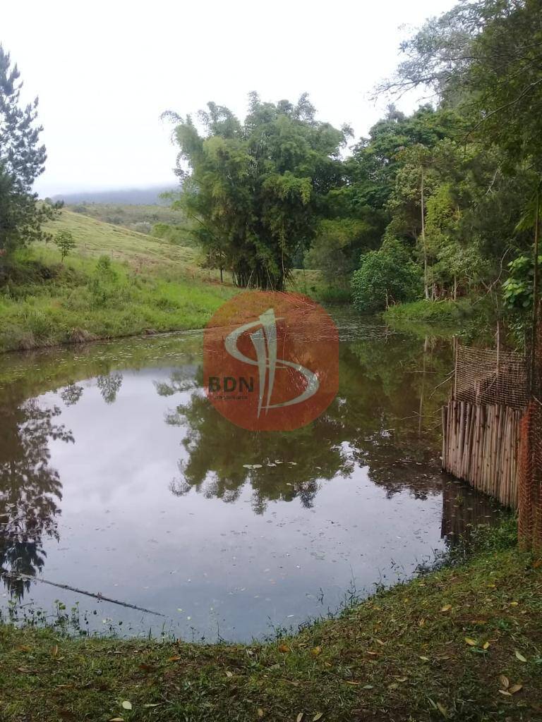 Chácara à venda com 4 quartos, 22000m² - Foto 9