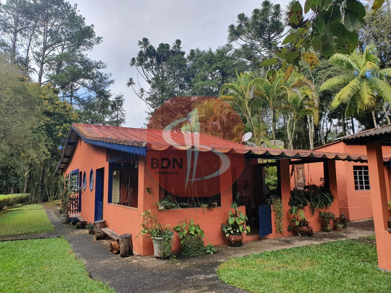 Sítio à venda com 3 quartos, 2000m² - Foto 4