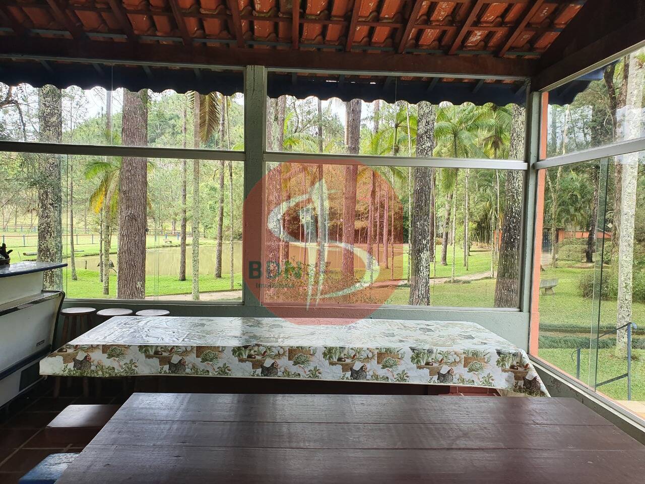 Sítio à venda com 3 quartos, 2000m² - Foto 18