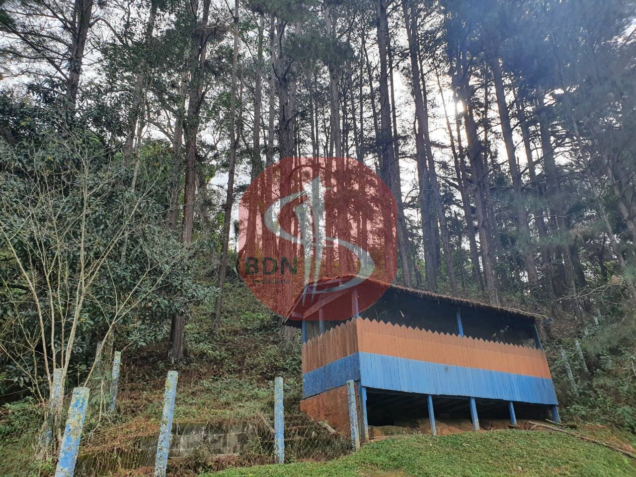 Sítio à venda com 3 quartos, 2000m² - Foto 22
