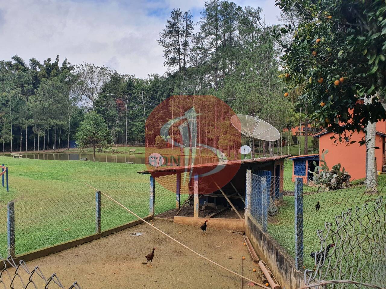 Sítio à venda com 3 quartos, 2000m² - Foto 23