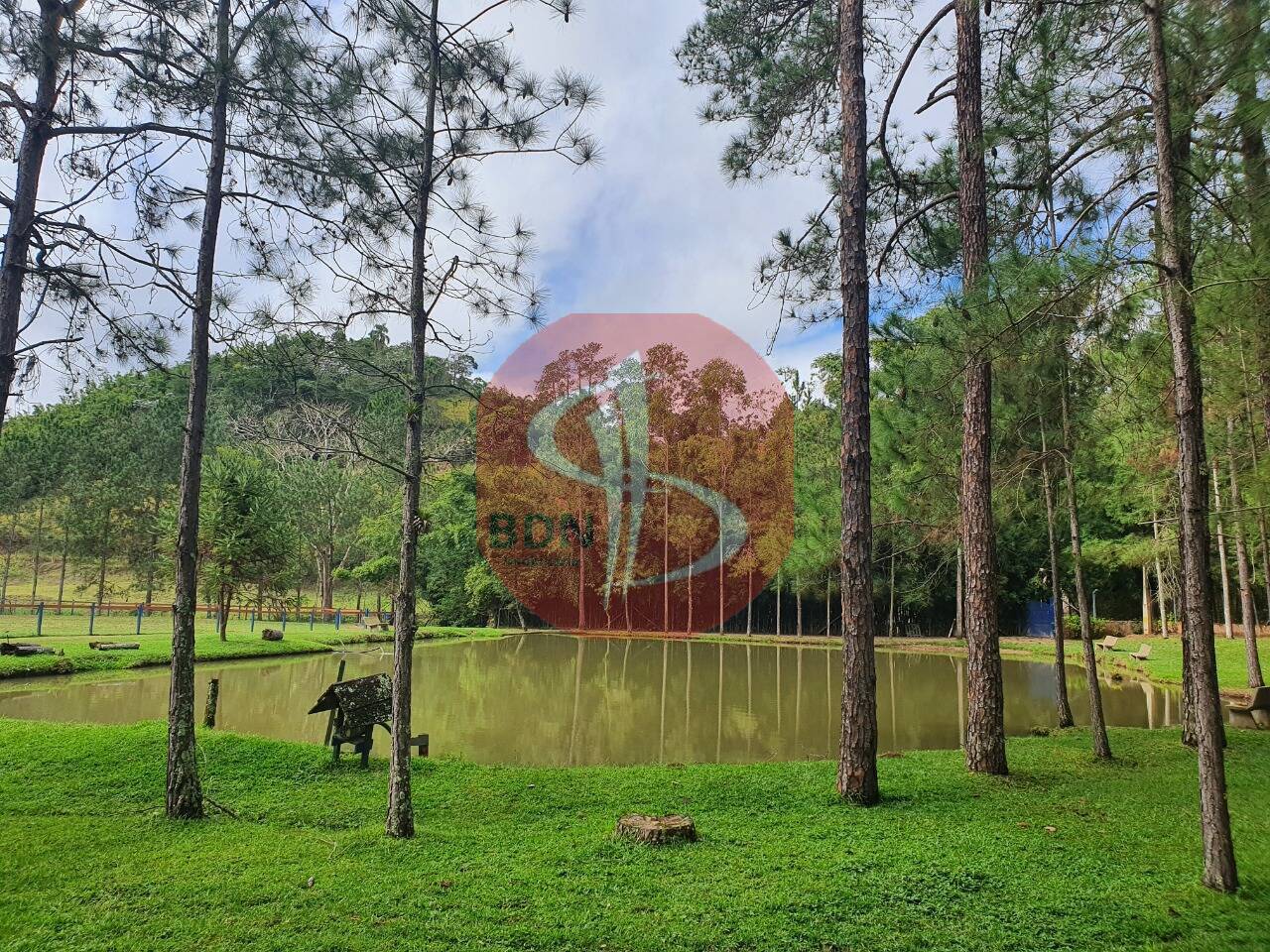 Sítio à venda com 3 quartos, 2000m² - Foto 25