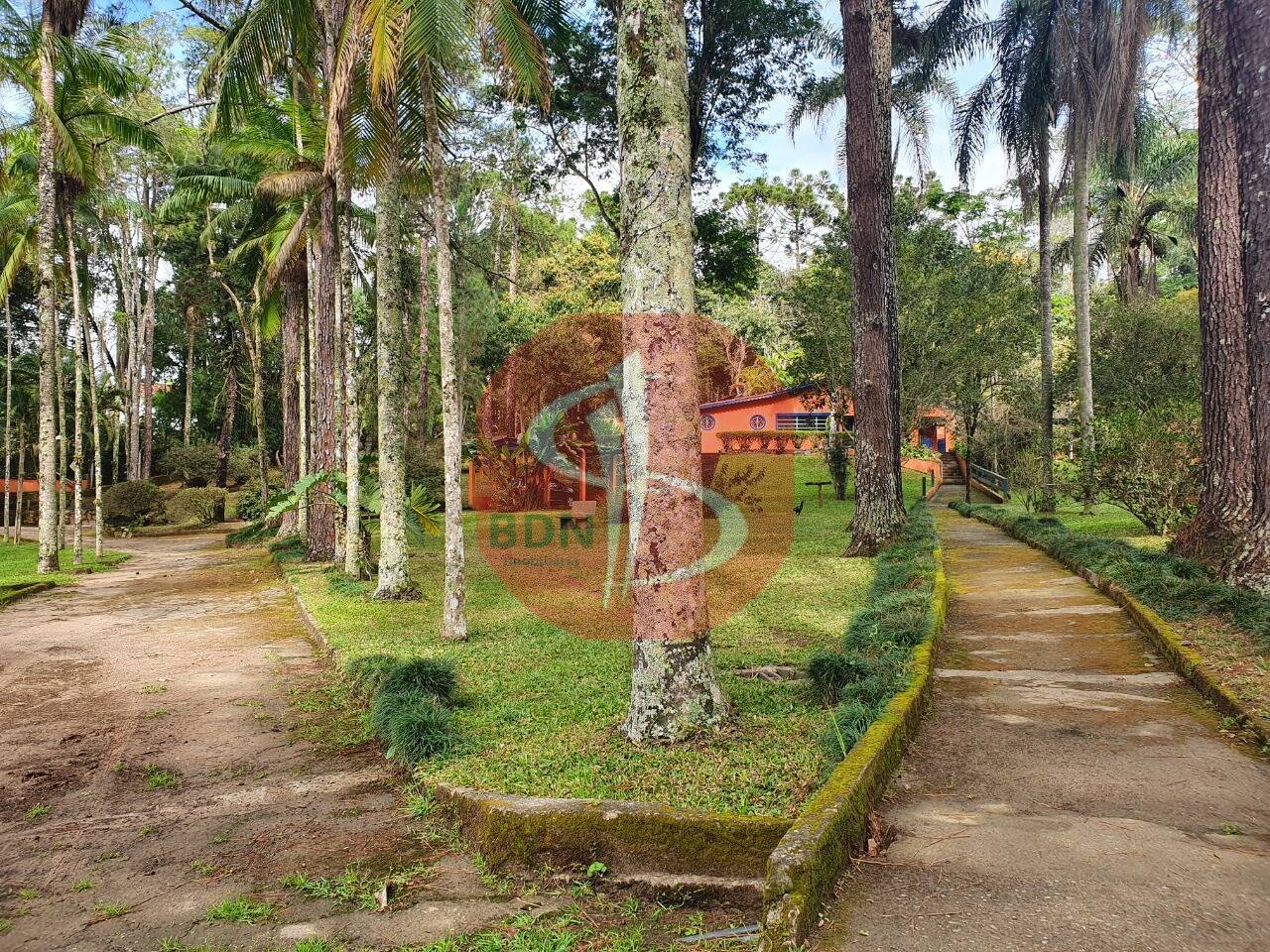 Sítio à venda com 3 quartos, 2000m² - Foto 26