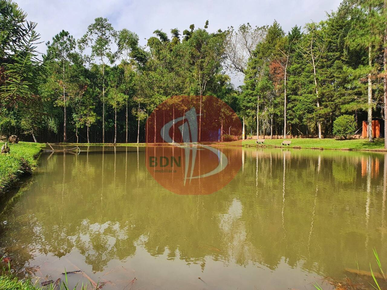 Sítio à venda com 3 quartos, 2000m² - Foto 29