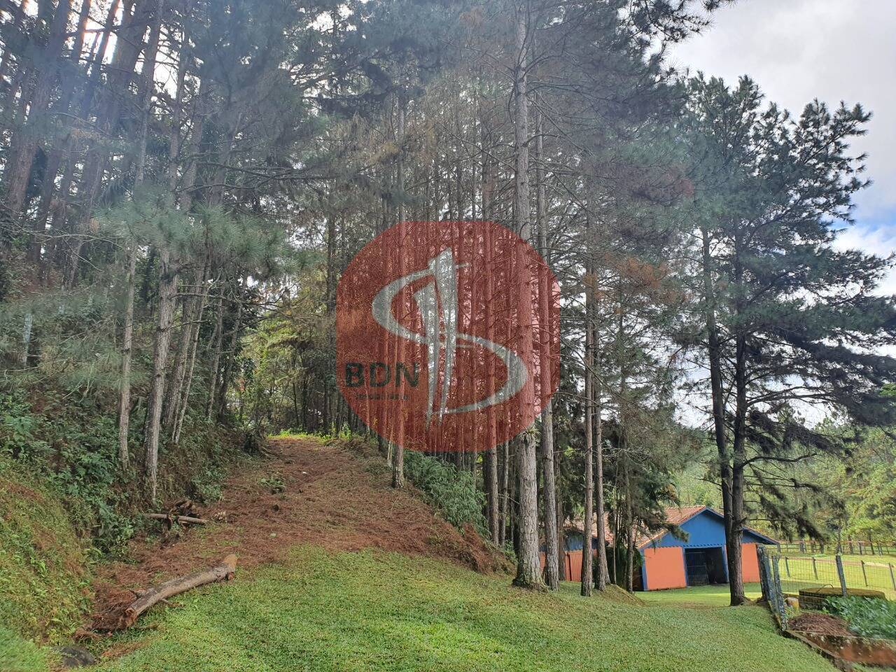 Sítio à venda com 3 quartos, 2000m² - Foto 28