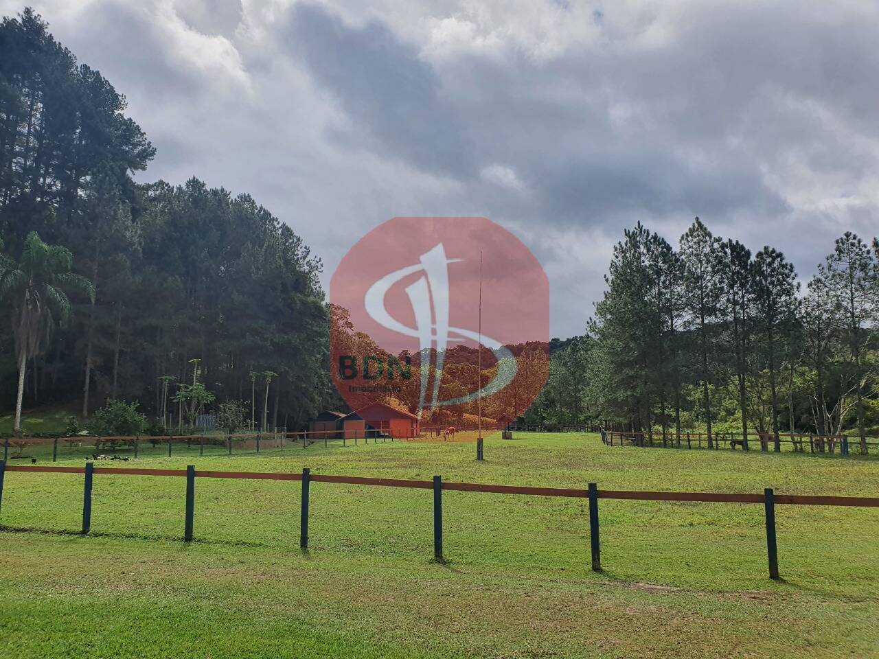 Sítio à venda com 3 quartos, 2000m² - Foto 31