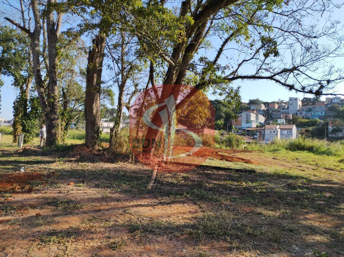 Terreno, 7 hectares - Foto 5