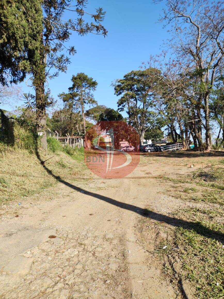 Terreno, 7 hectares - Foto 4