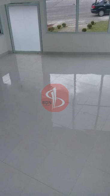 Casa para alugar com 4 quartos, 500m² - Foto 12