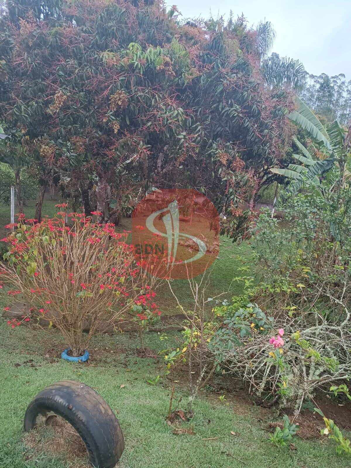 Chácara à venda com 2 quartos - Foto 27
