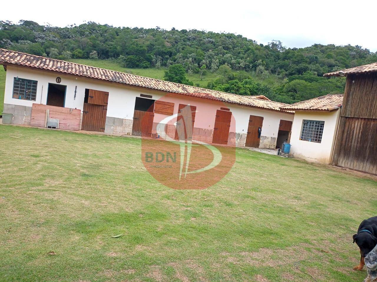 Fazenda à venda com 12 quartos, 193000m² - Foto 11